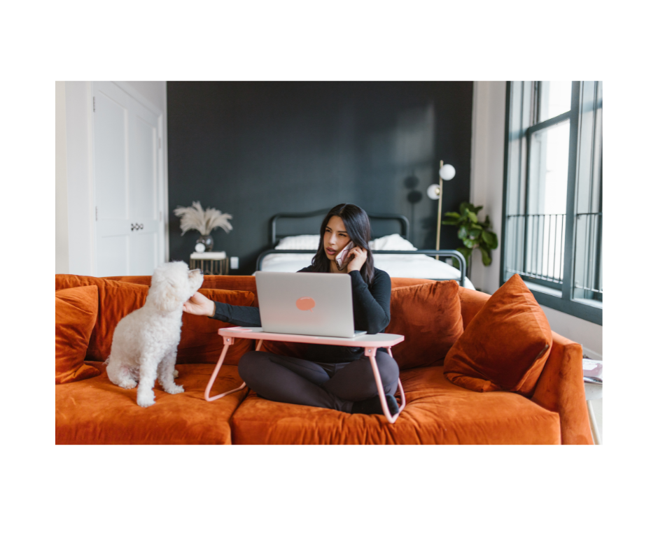 Dog walking visits include a walk with a professional dog walker around your local neighborhood and/or playtime time outside in your fenced-in backyard. Aunt T's Pet Sitting and Pet Services | Michigan | 810-931-1062 Aunt T's Pet Sitting and Pet Services | Michigan | 810-931-1062 | pet sitting
