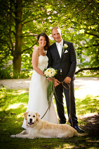 Aunt T's Pet Sitting and Pet Services | Michigan | 810-931-1062 Aunt T's Pet Sitting and Pet Services | Michigan | 810-931-1062 | pet sitting
